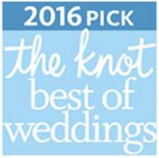 Salon Tease 2016 The Knot Best Of Weddings